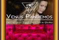Venus Pandemos